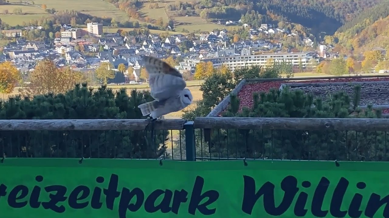 Eule sitzt auf Zaun vor grüner Banner mit Schriftzug Freizeitpark Willingen.
