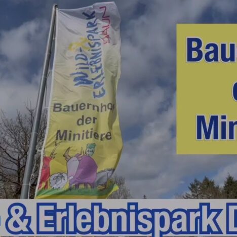 Lyngvig Fyr mit Hund – Dänemarks jüngster Leuchtturm 🐶
