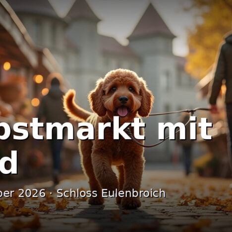 Hundekekse aus dem Thermomix: 3 Zutaten, in 20 Minuten fertig
