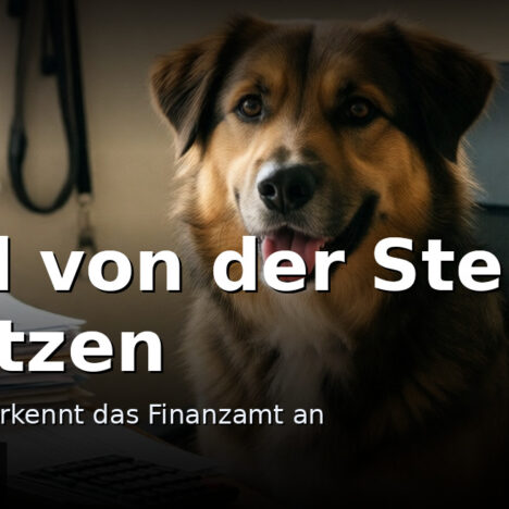 Grenzen setzen beim Hund: Nein sagen ohne Strafe