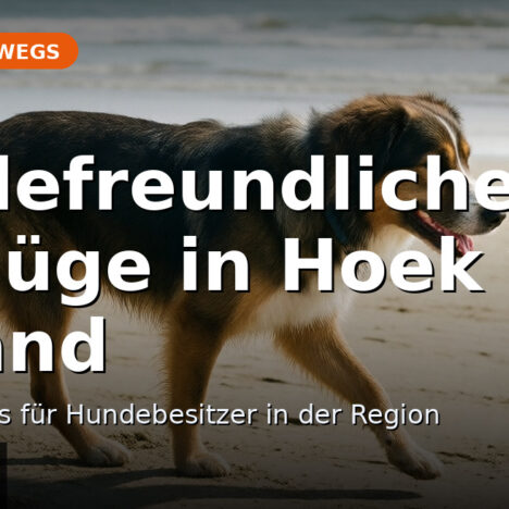 Hundefreundliche Ausflugsziele in Kärnten: Regionen im Vergleich