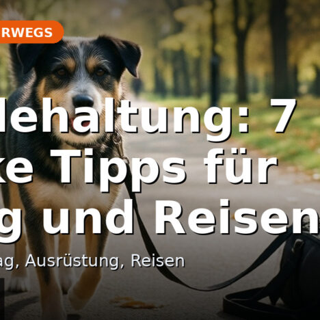 Hundefreundliche Ausflugsziele in Kärnten: Regionen im Vergleich